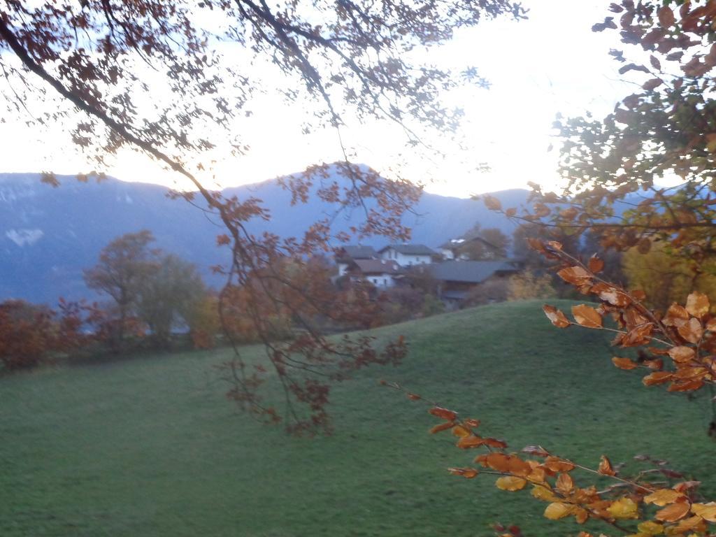 Pitterle Hof Villa Mölten Eksteriør bilde